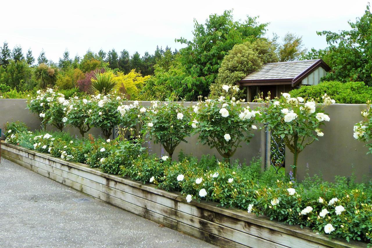 Belle Maison French Country Stay New Plymouth Exterior foto